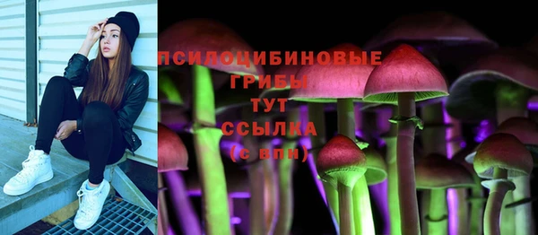 прущая мука Осташков