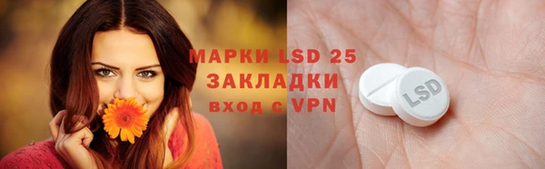 молекула духа Няндома
