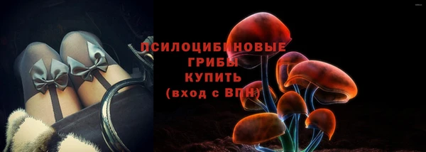 амф Нязепетровск