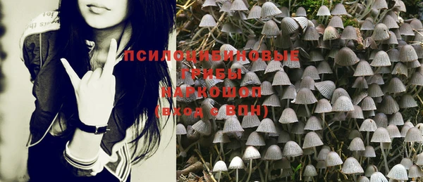 прущая мука Осташков