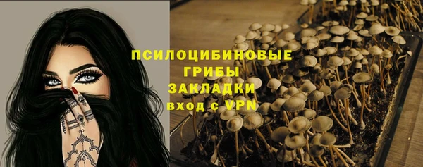 прущая мука Осташков