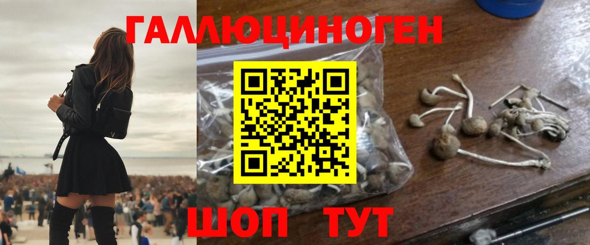 Муравленко  Галлюциногенные грибы Psilocybine cubensis  Вход с VPN 